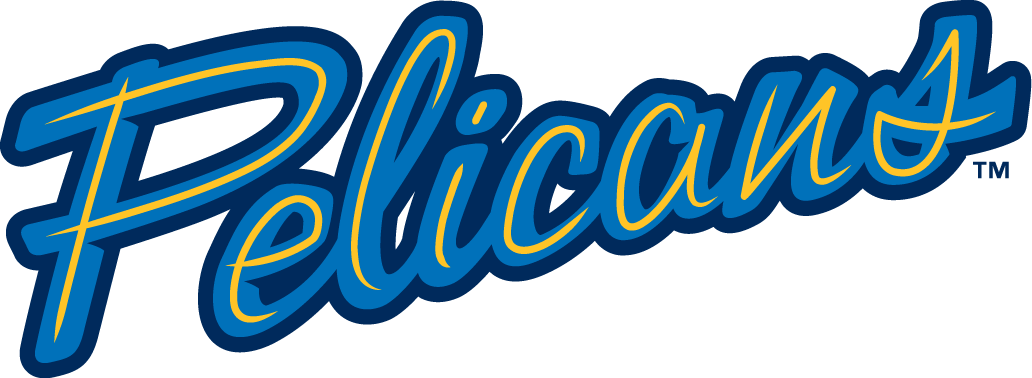 Myrtle Beach Pelicans 2007-Pres Jersey Logo v2 iron on transfers for clothing